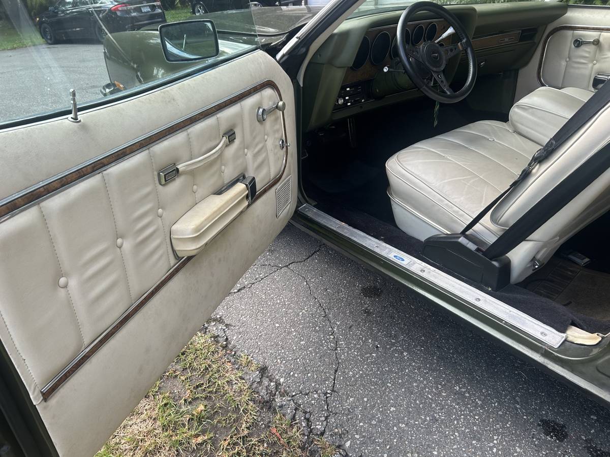 Ford-elite-1975-green-6