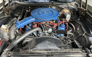 Ford-elite-1975-green-8