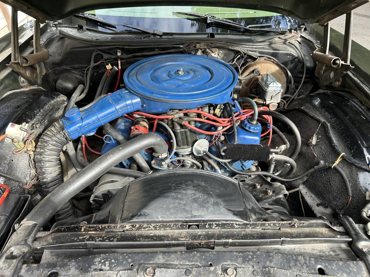Ford-elite-1975-green-8