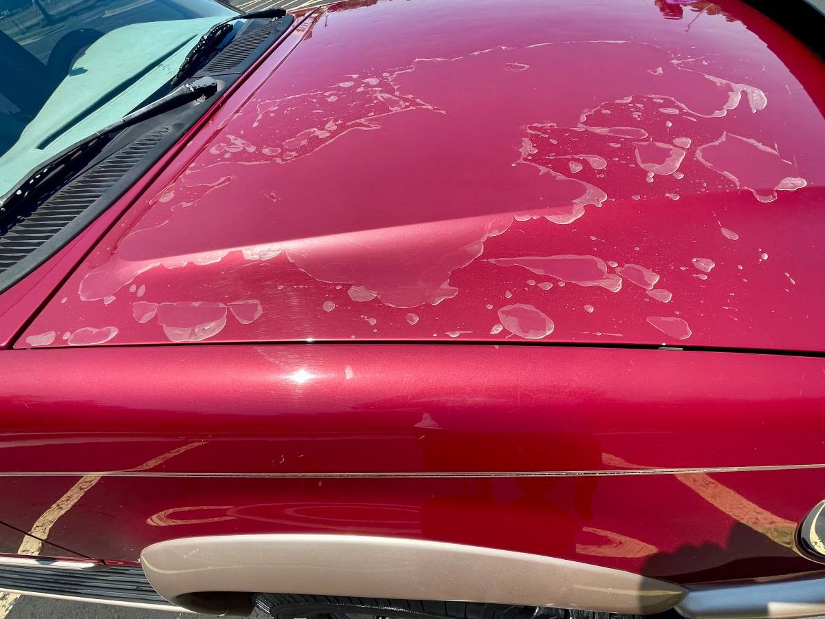 Ford-explorer-eddie-bauer-4x4-1996-red-6