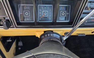 Ford-f-100-custom-1975-yellow-4