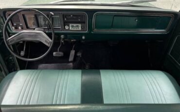 Ford-f-150-1978-10