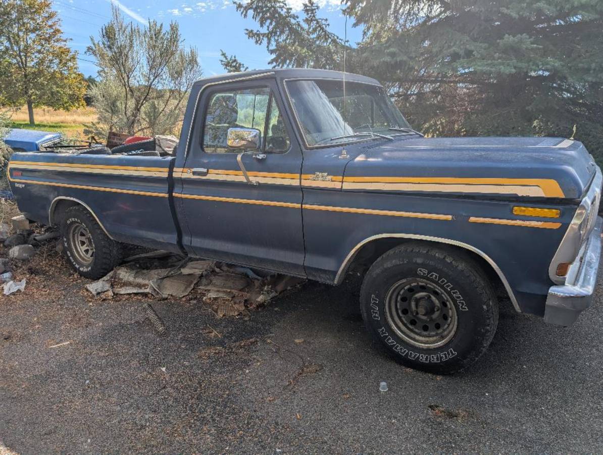 Ford-f-150-1978-blue