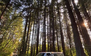 Ford-f-150-1986-blue-1