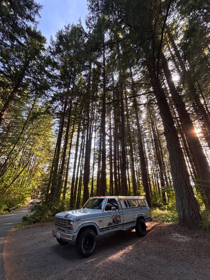 Ford-f-150-1986-blue-1