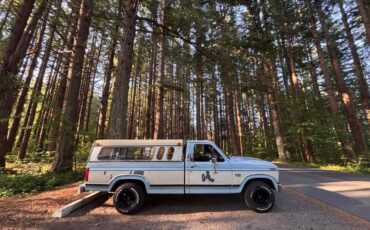 Ford-f-150-1986-blue-10