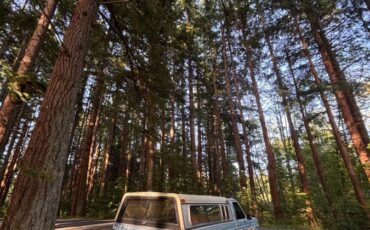 Ford-f-150-1986-blue-2