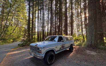 Ford-f-150-1986-blue-9