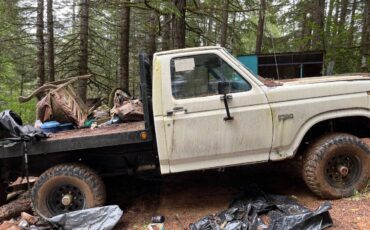 Ford-f-150-1986-white-2