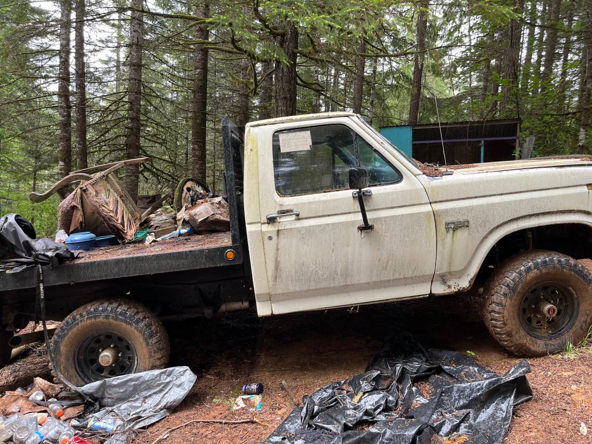 Ford-f-150-1986-white-2