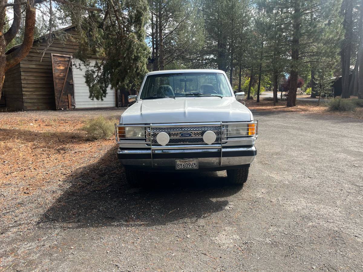 Ford-f-150-1989-silver-2
