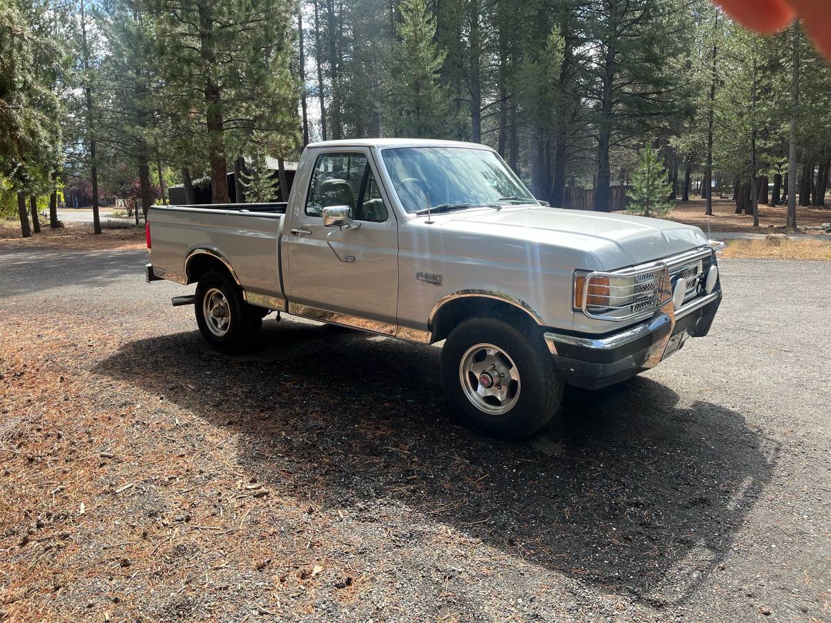 Ford-f-150-1989-silver-5