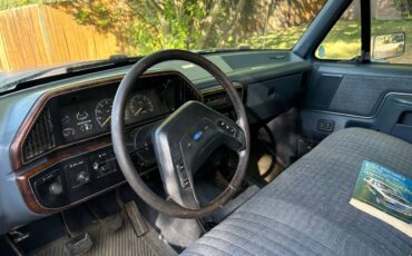 Ford-f-150-1990-blue-1