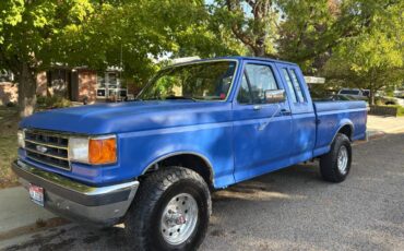 Ford-f-150-1990-blue-5
