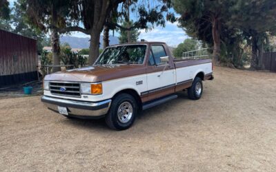 Ford f-150 1991