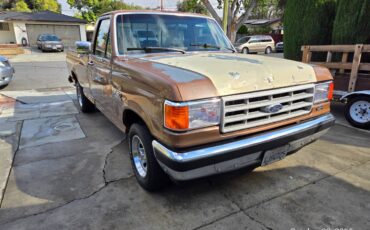 Ford-f-150-1991-brown-1