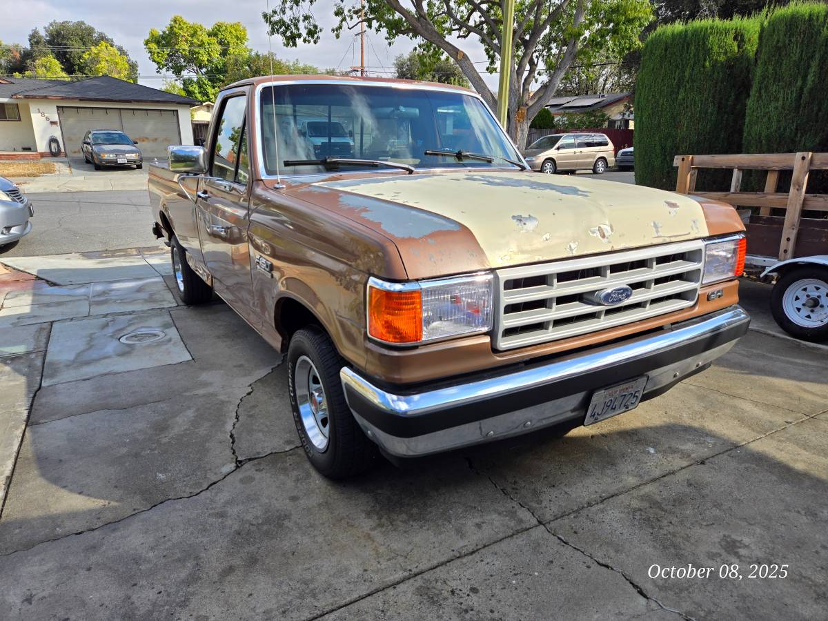 Ford-f-150-1991-brown-1