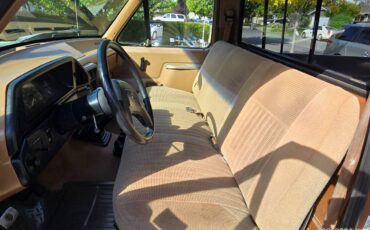 Ford-f-150-1991-brown-10