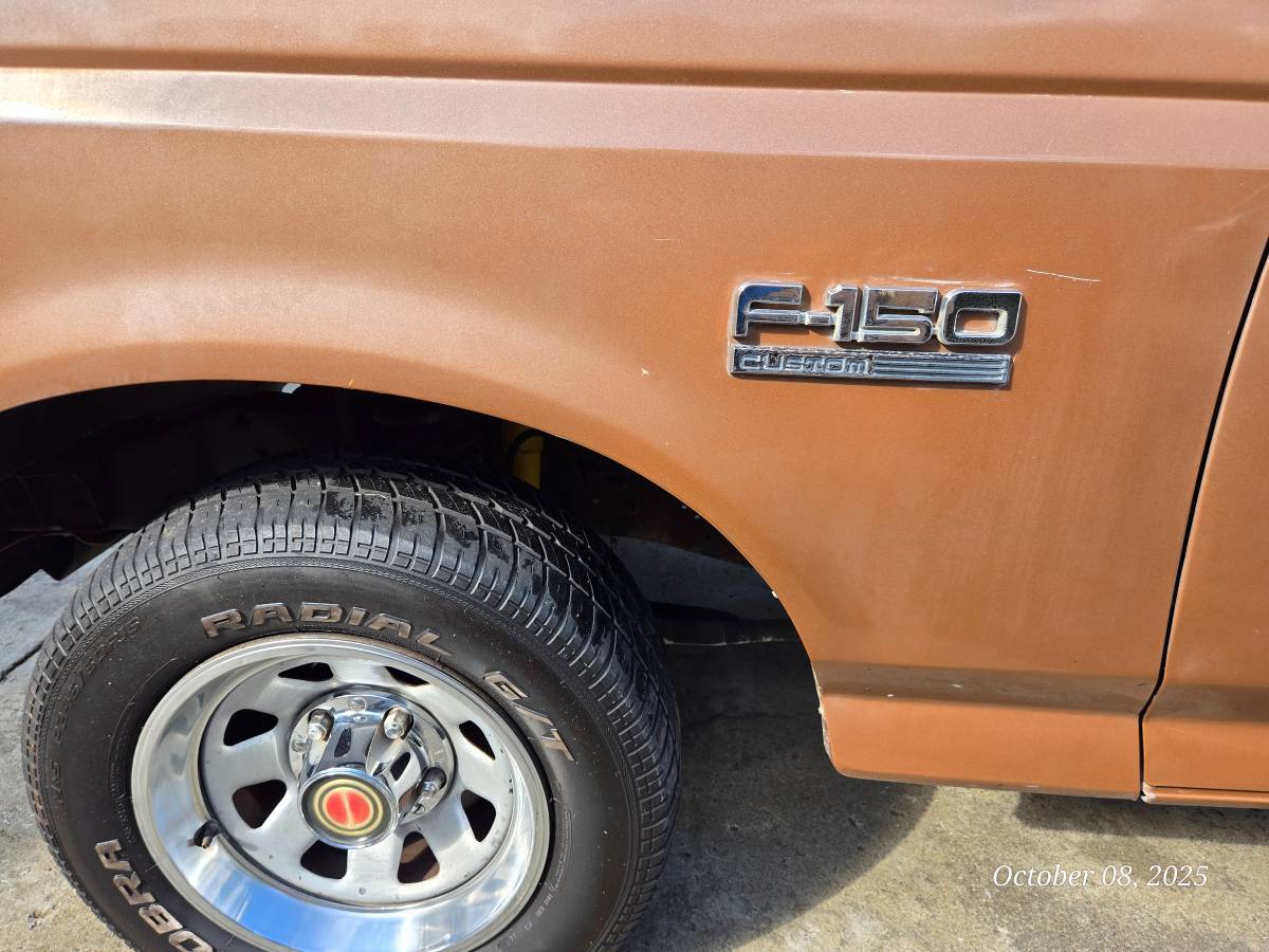 Ford-f-150-1991-brown-11