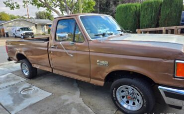 Ford-f-150-1991-brown-14