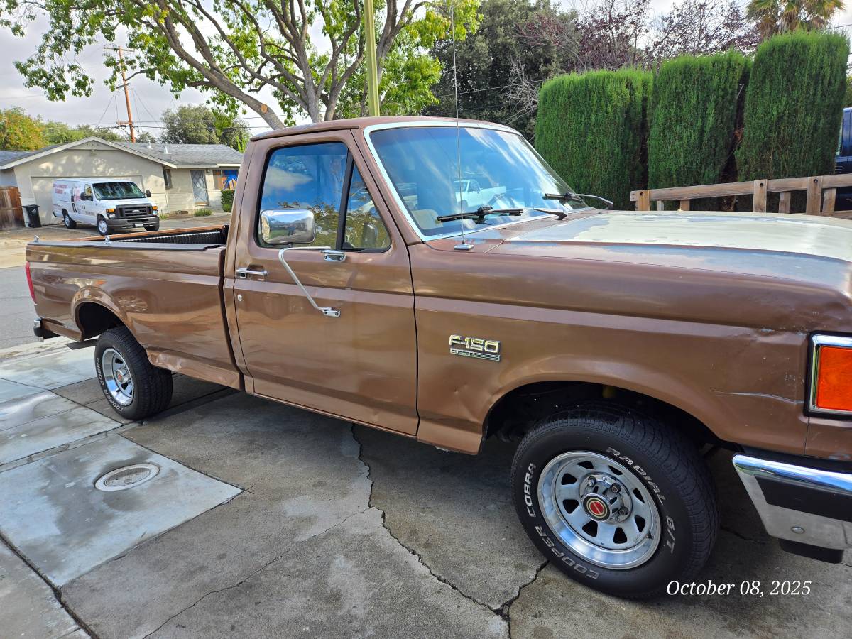 Ford-f-150-1991-brown-14