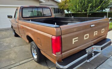 Ford-f-150-1991-brown-2