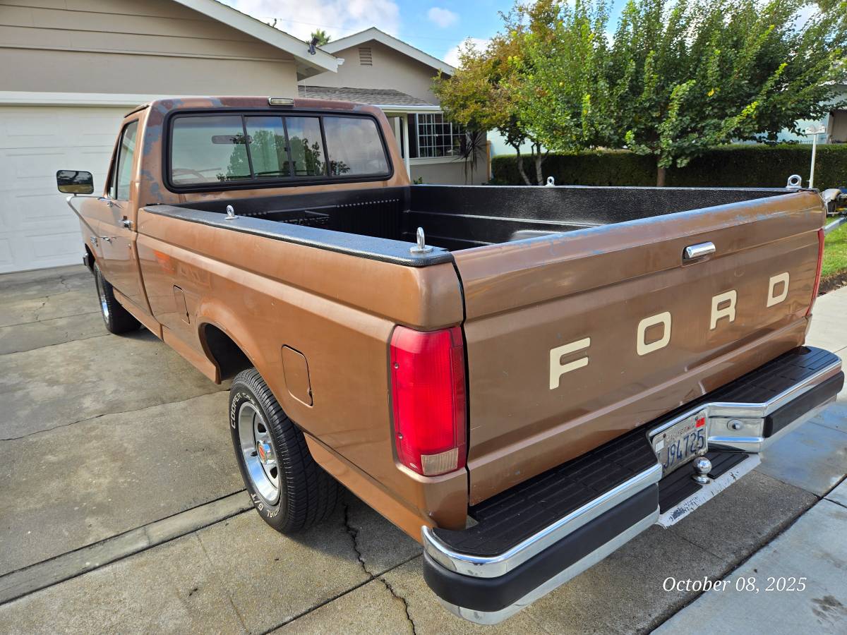 Ford-f-150-1991-brown-2