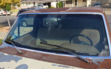 Ford-f-150-1991-brown-3