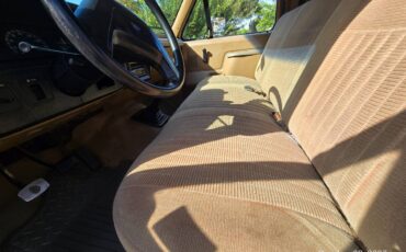 Ford-f-150-1991-brown-6