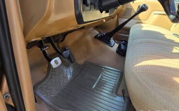 Ford-f-150-1991-brown-9