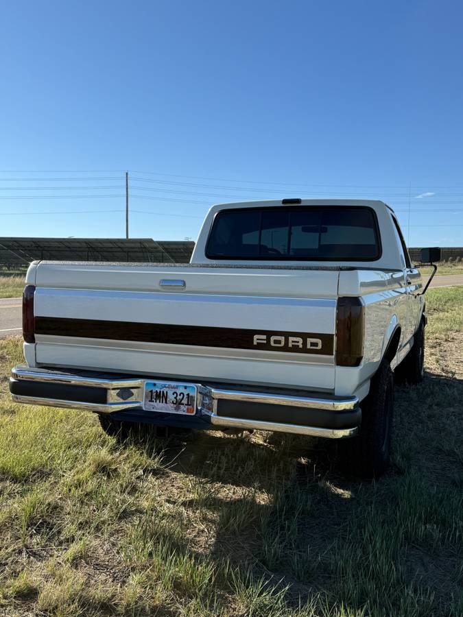 Ford-f-150-1991-white-12