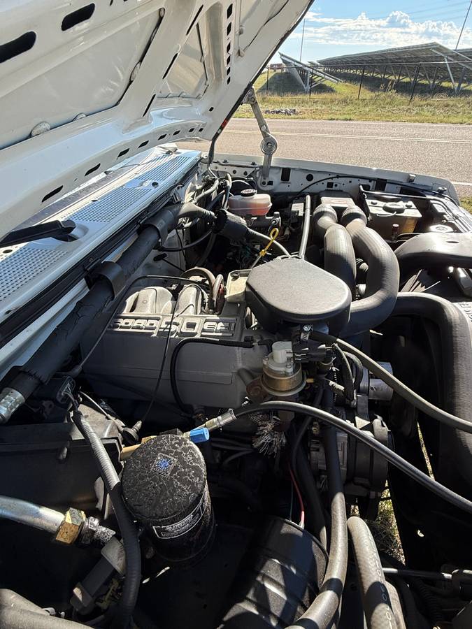 Ford-f-150-1991-white-16