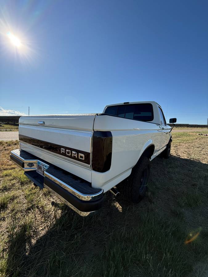 Ford-f-150-1991-white-17