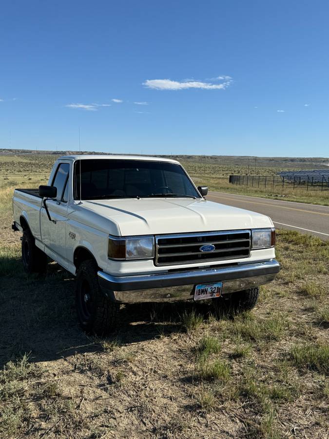 Ford-f-150-1991-white-3