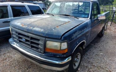 Ford-f-150-1993-blue-13
