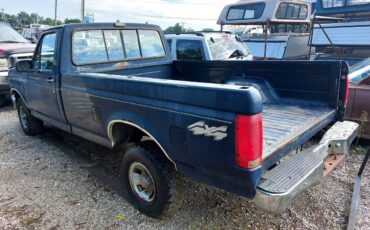 Ford-f-150-1993-blue-2