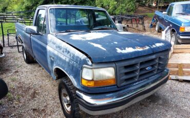 Ford-f-150-1993-blue