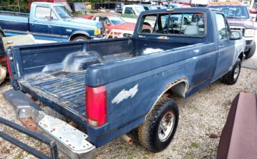 Ford-f-150-1993-blue-4
