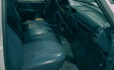 Ford-f-150-1993-blue-8