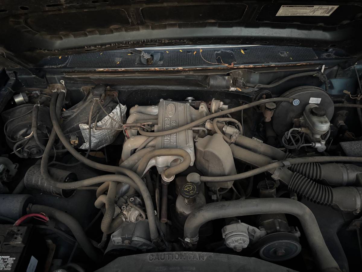 Ford-f-150-1994-blue