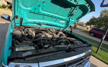 Ford-f-150-1995-custom-3