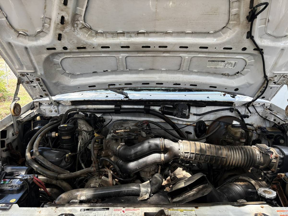 Ford-f-150-1995-white-12