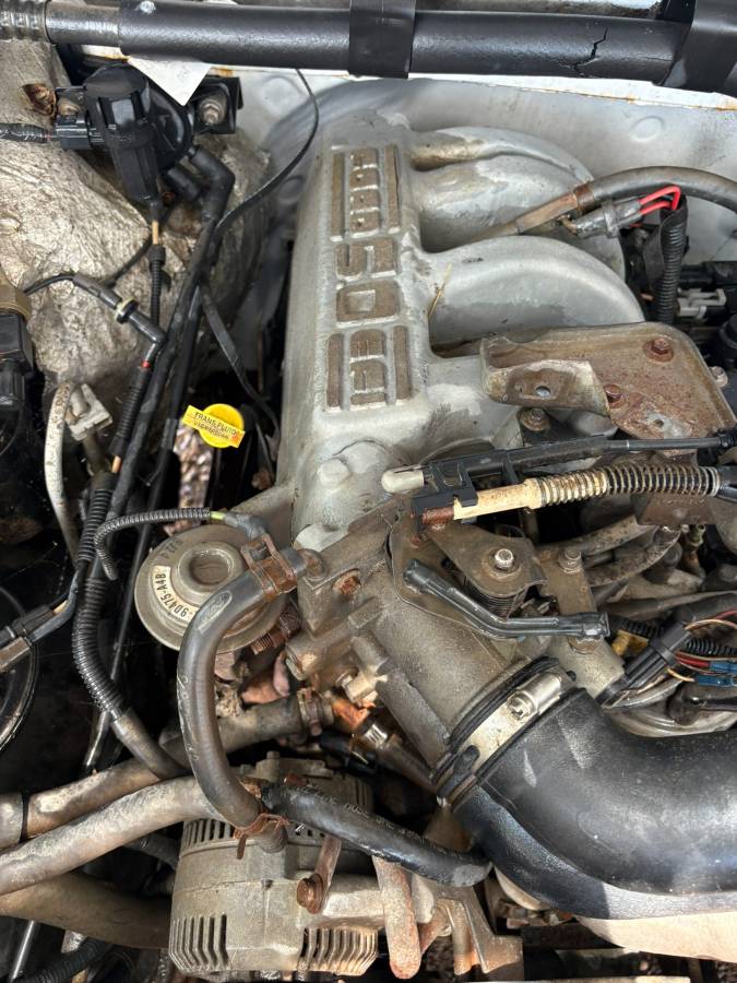 Ford-f-150-1995-white-13