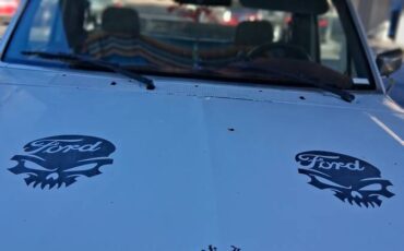 Ford-f-150-1995-white-2