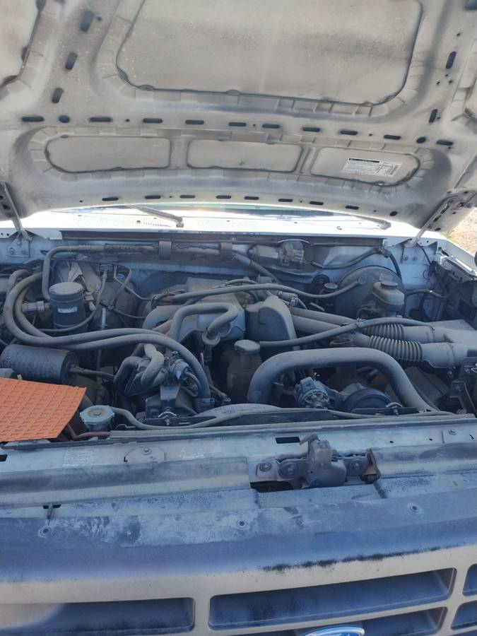 Ford-f-150-1995-white-4