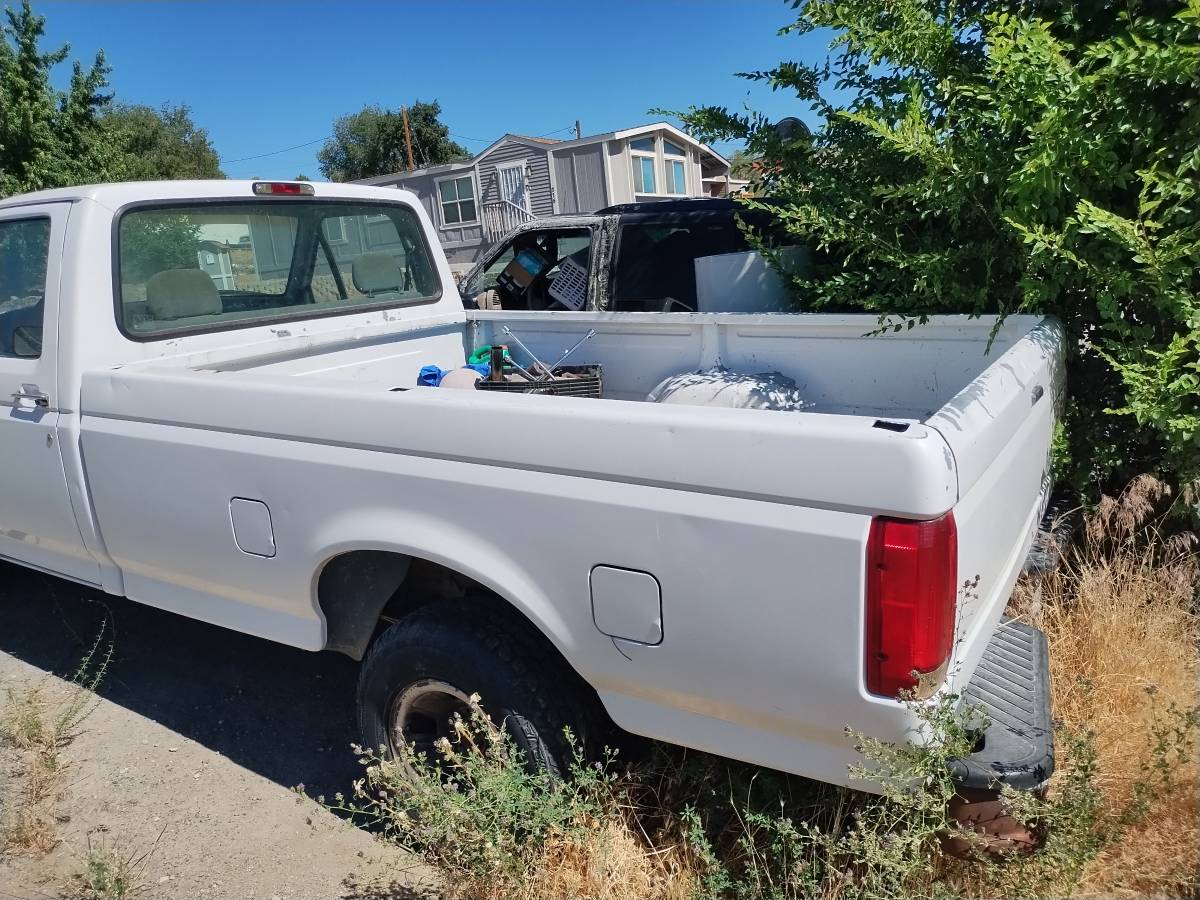 Ford-f-150-1995-white-6