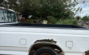 Ford-f-150-1995-white-6