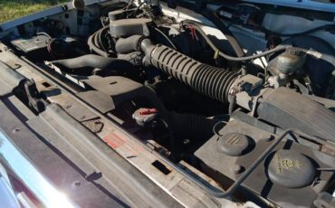 Ford-f-150-1995-white-6