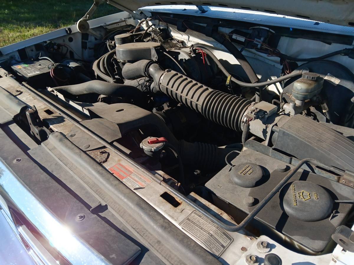 Ford-f-150-1995-white-6