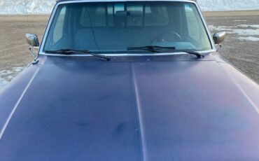 Ford-f-150-4wd-long-bed-1988-blue-15